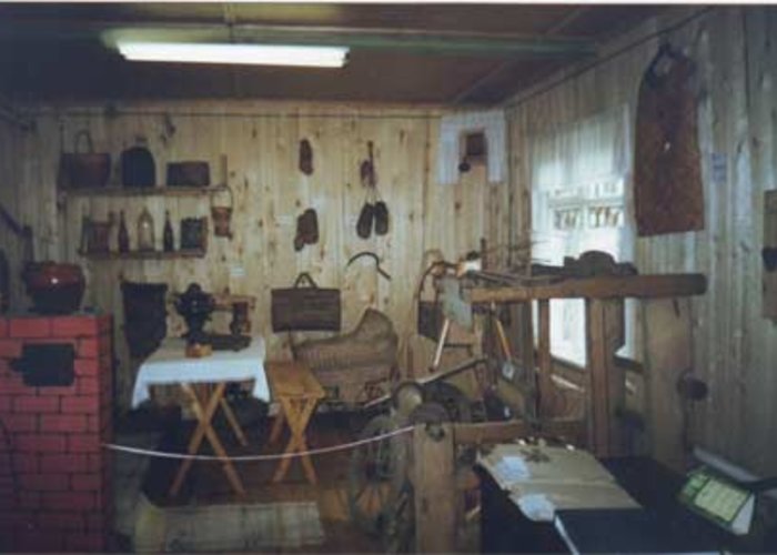 The Museum of Forest