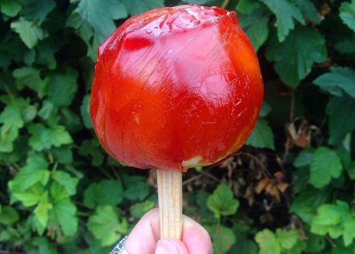 The Birsk Museum of Apple