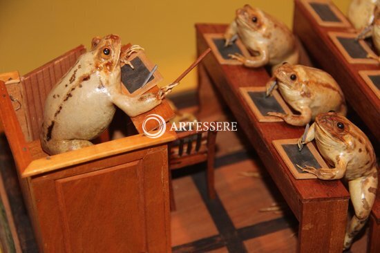 Froschmuseum