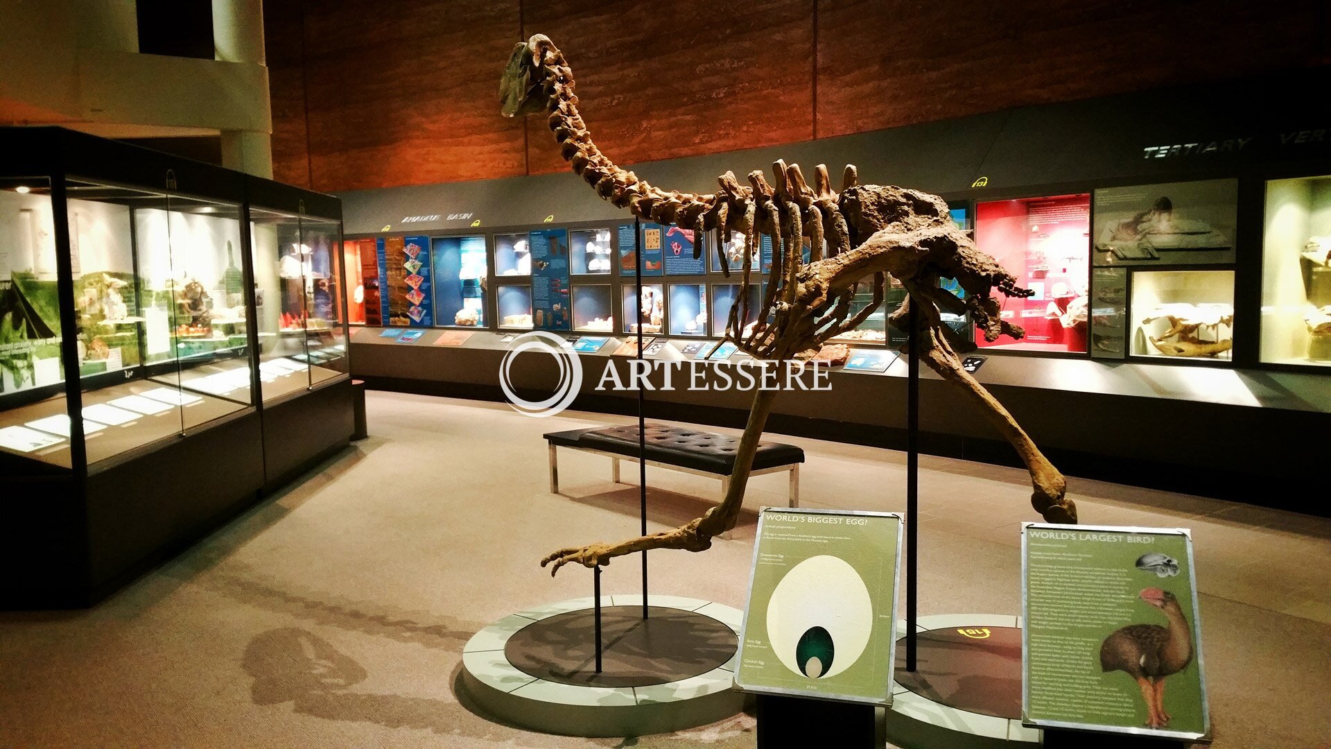 Museum of Central Australia