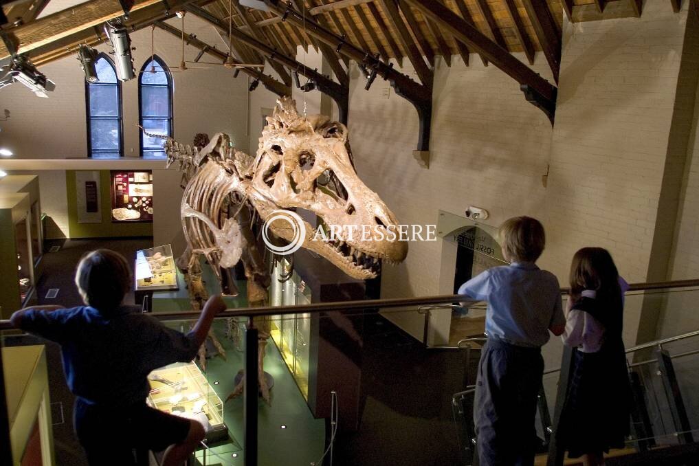 Australian Fossil and Mineral Museum