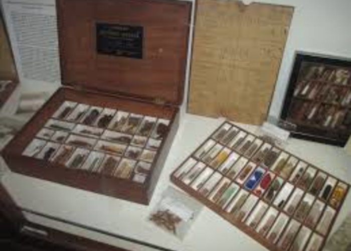 Marks Hirschfeld Museum of Medical History