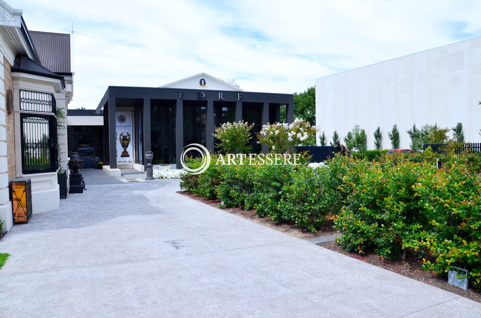 The David Roche Foundation