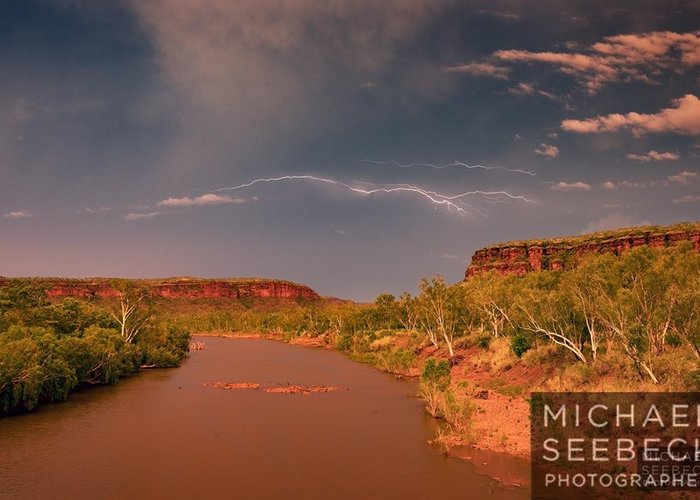 Michael Seebeck Gallery