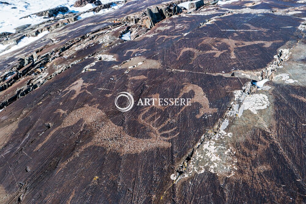 Natural History Museum