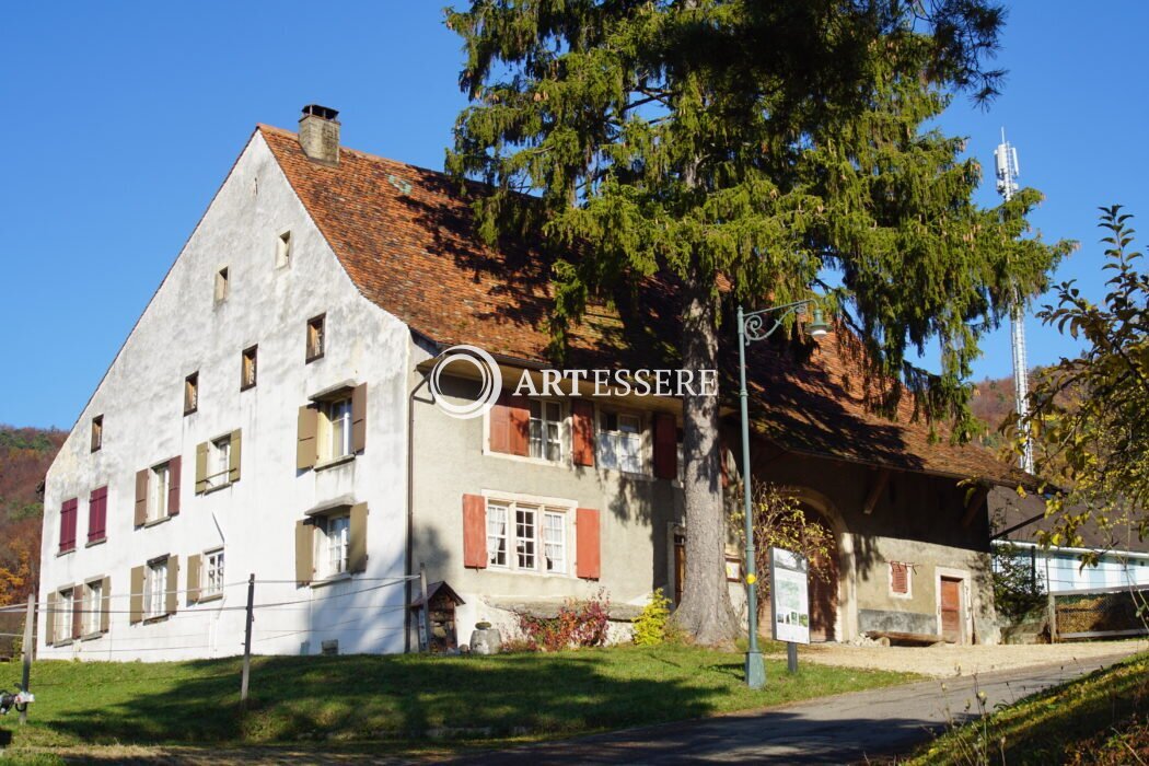Ortsmuseum «im Feld»