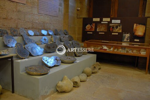 The Mineralogical Museum