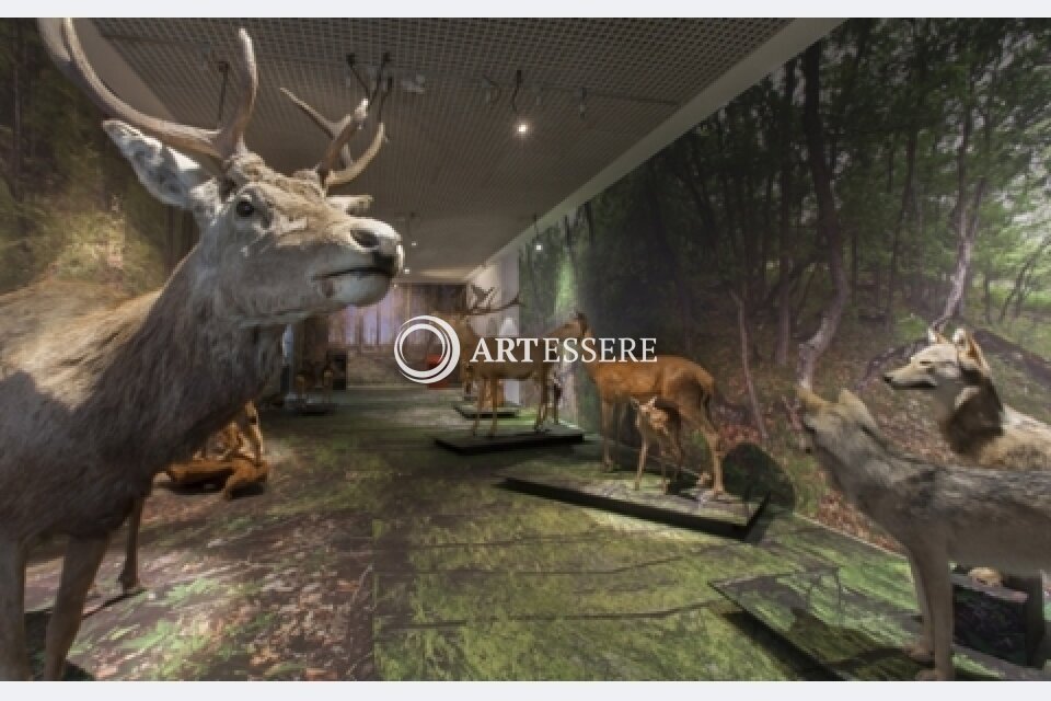 Musee De La Nature Du Valais / Naturmuseum Wallis