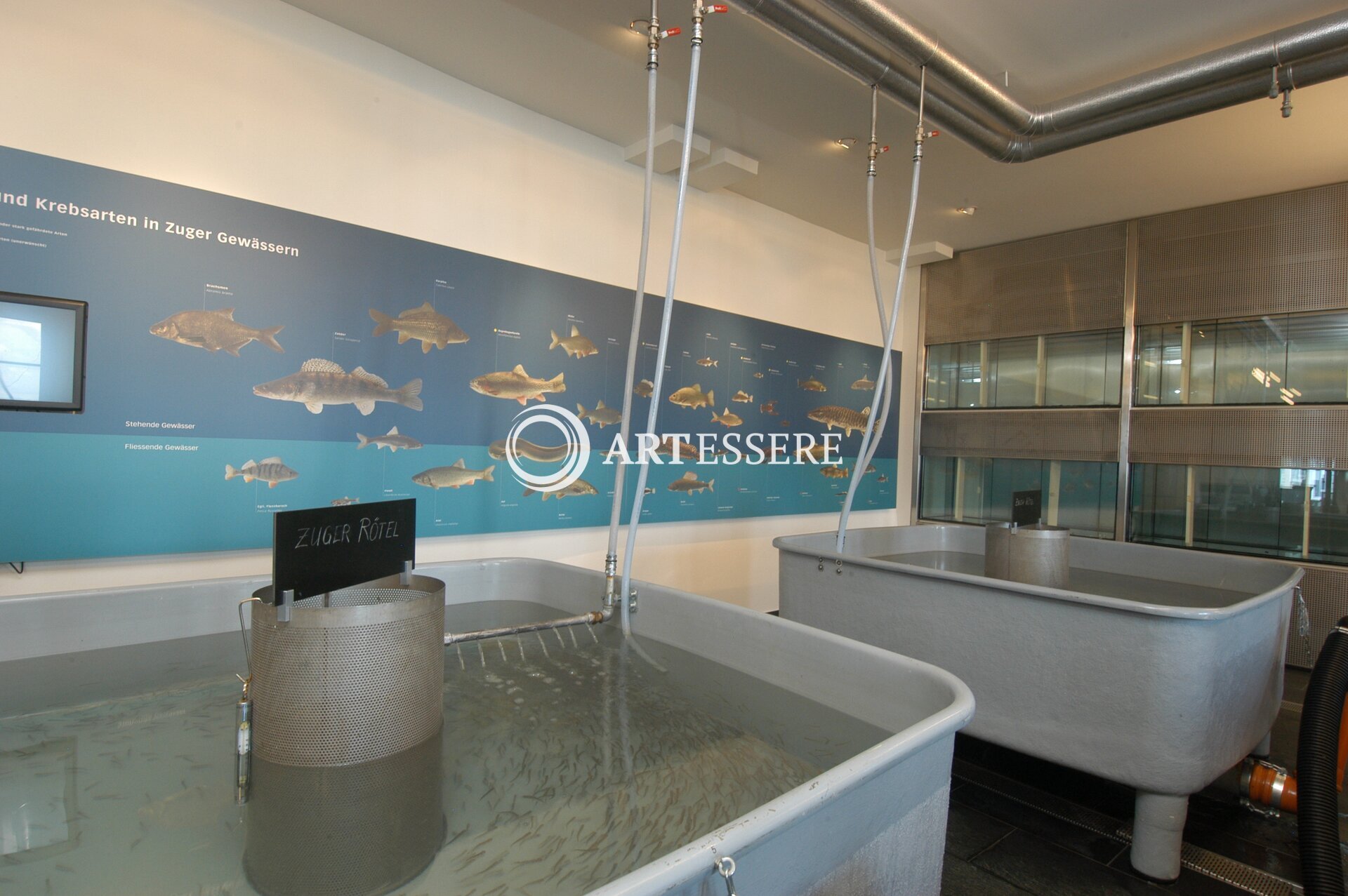 Fischereimuseum Zug