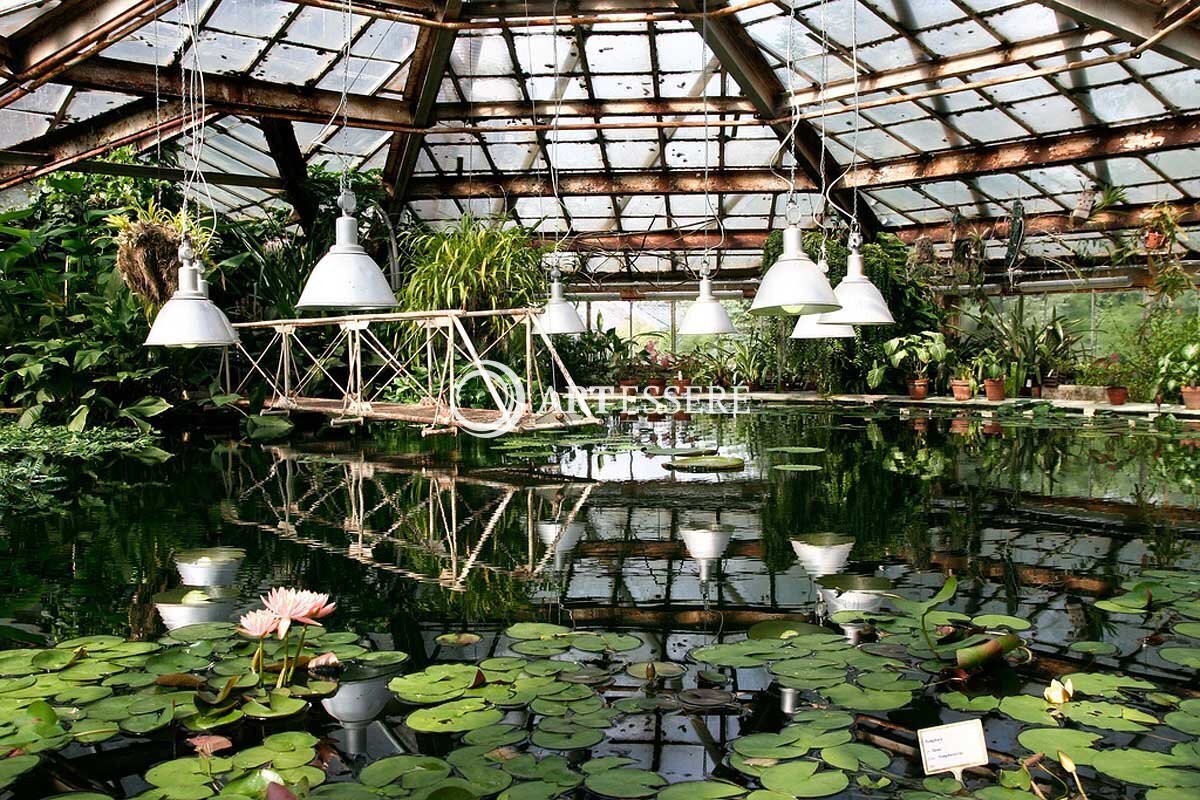 The Botanical Museum of Peter the Great