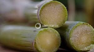 The Sugarcane Museum