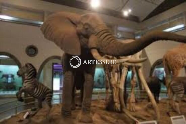 National Museum of Somalia