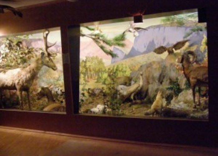 The school museum of local lore of E.N.Oven