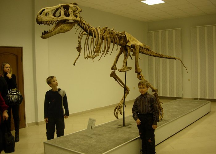 The Scientific Geological Museum of A.A. Chernov