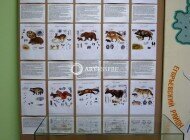 The Shatura Museum of Local Lore