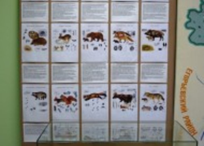 The Shatura Museum of Local Lore