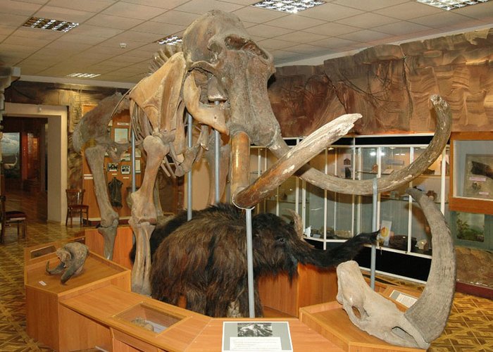 The Yakut State United Museum of History and Culture of the Peoples of the North of E.M. Yaroslavsky