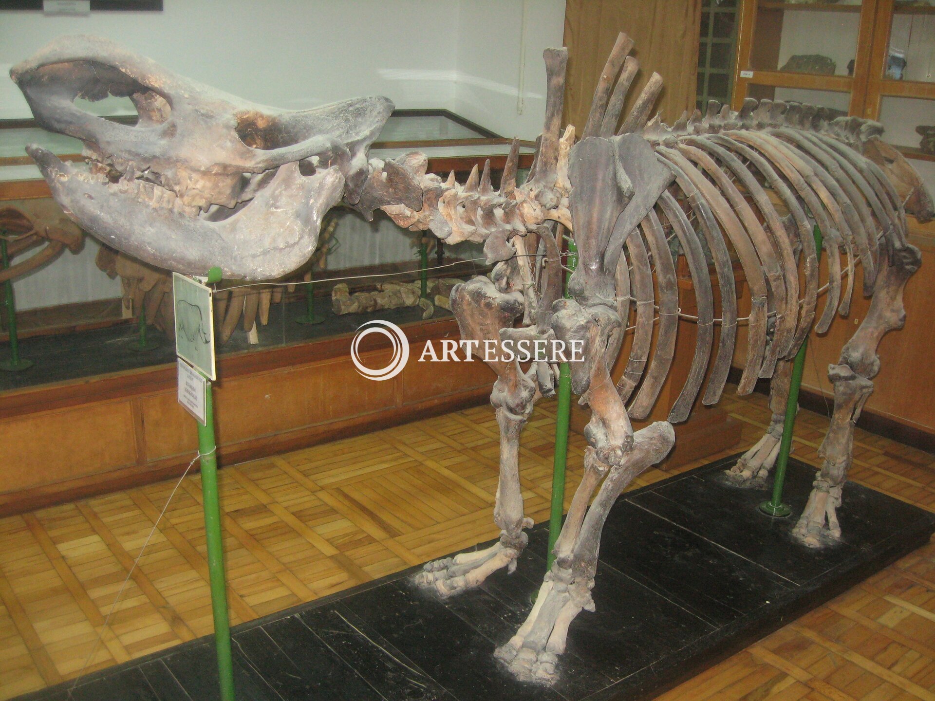 Azerbaijan Geology Museum