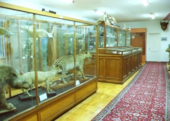 Natural History Museum named after Hasan Bey Zardabi
