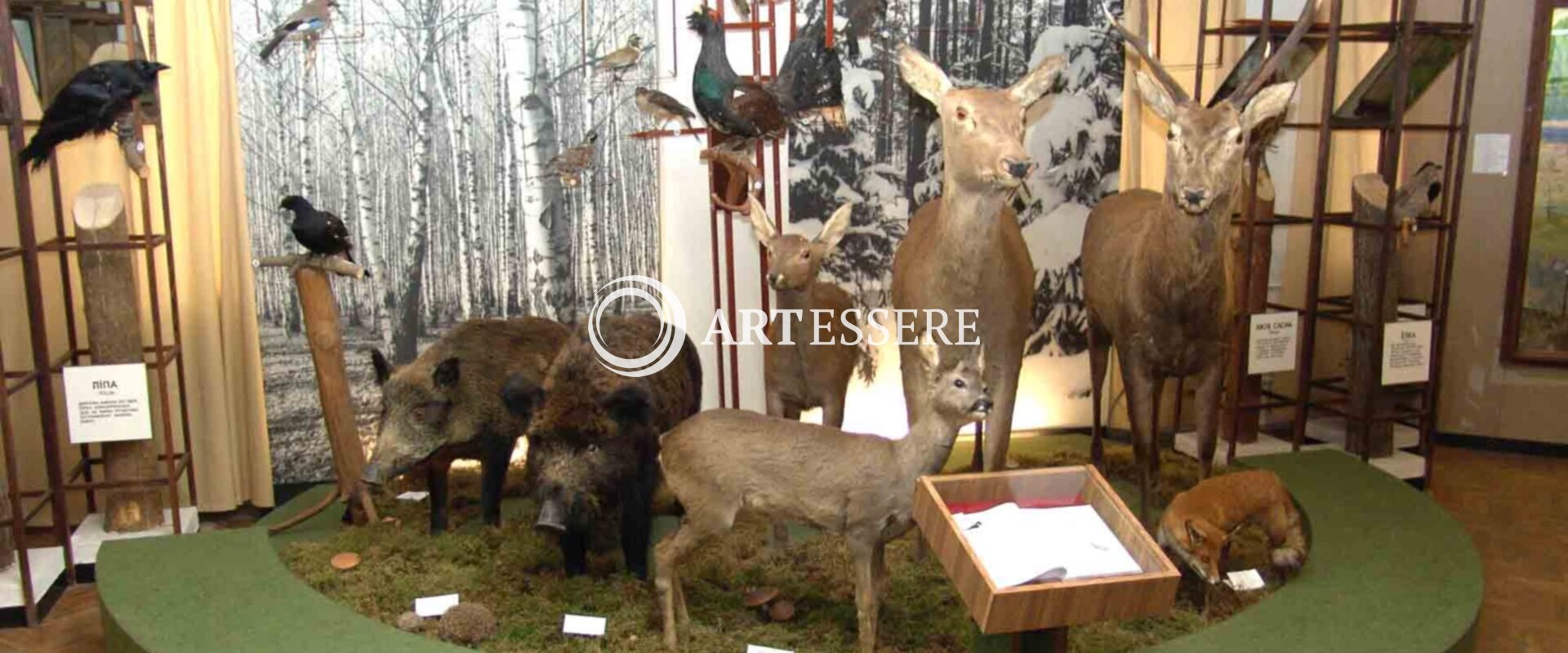 Cultural Institution 