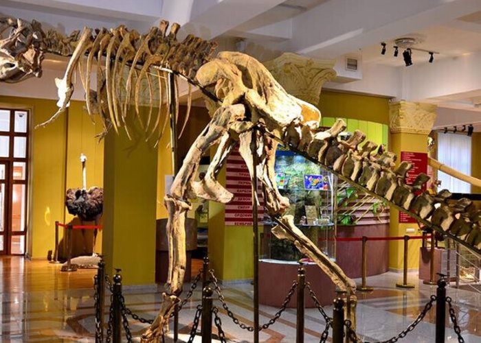 Natural Museum of the Republic of Kazakhstan