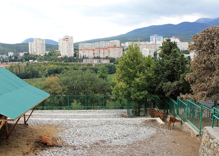 The Crimean Museum of  Nature of the State Wildlife Protection Zone and Hunting  Service.