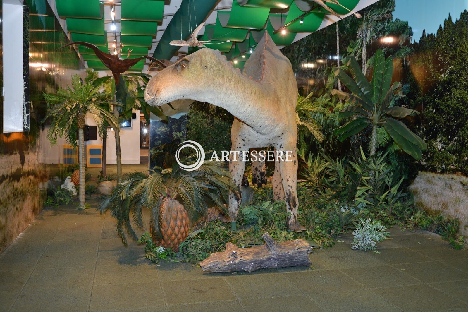 Museo Infantil Trampolin