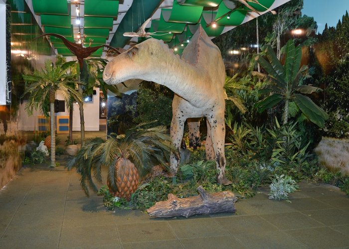 Museo Infantil Trampolin