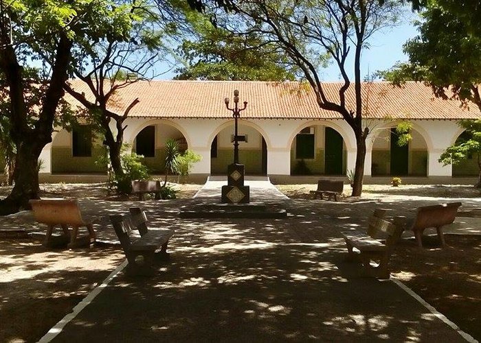 The Museum of Natural History — UFAL