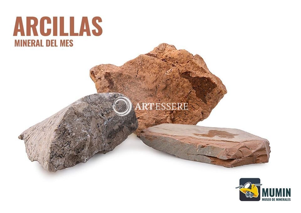 The Minerals Museum — MUMIN