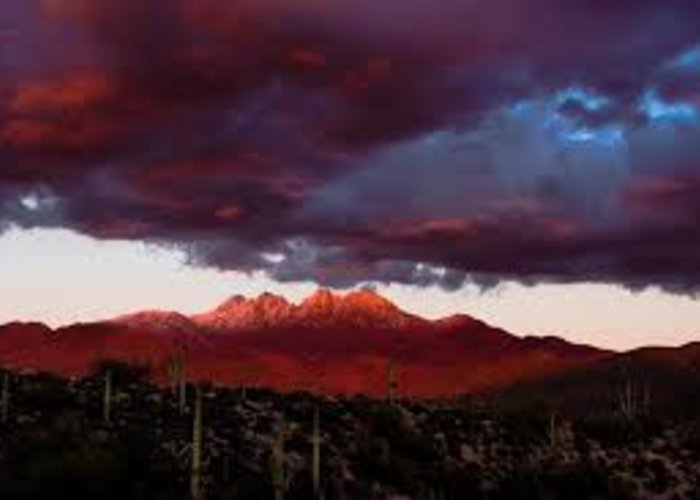 Elan Wollitzer Gallery