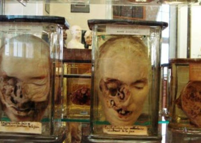 Museum of Medical History