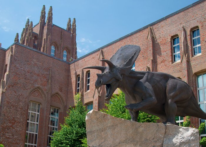 Peabody Museum of Natural History