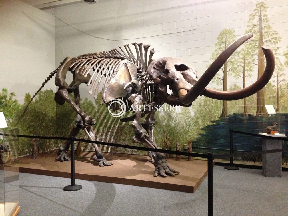 Brevard Museum of History & Natural Science