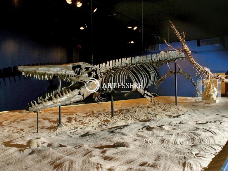 Georgia Southern Museum