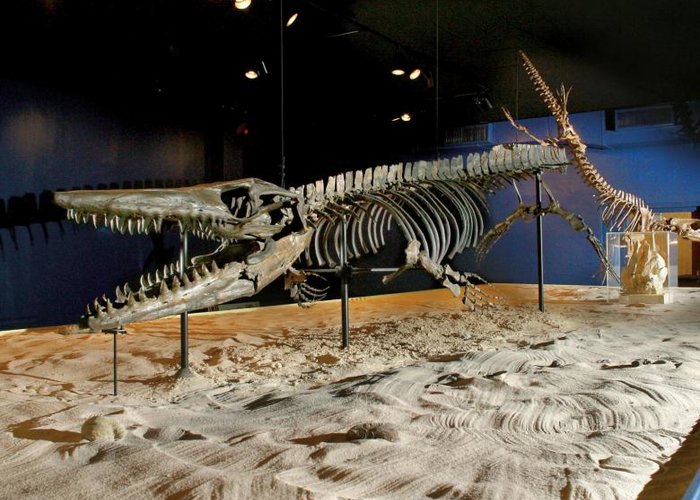 Georgia Southern Museum