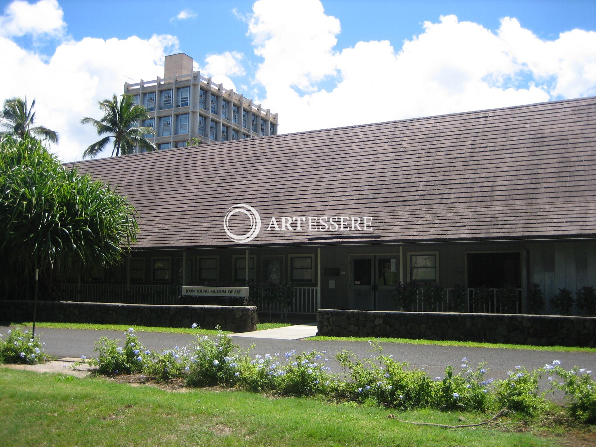 John Young Museum of Art