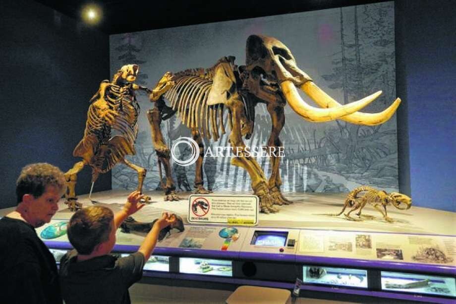 Illinois State Museum