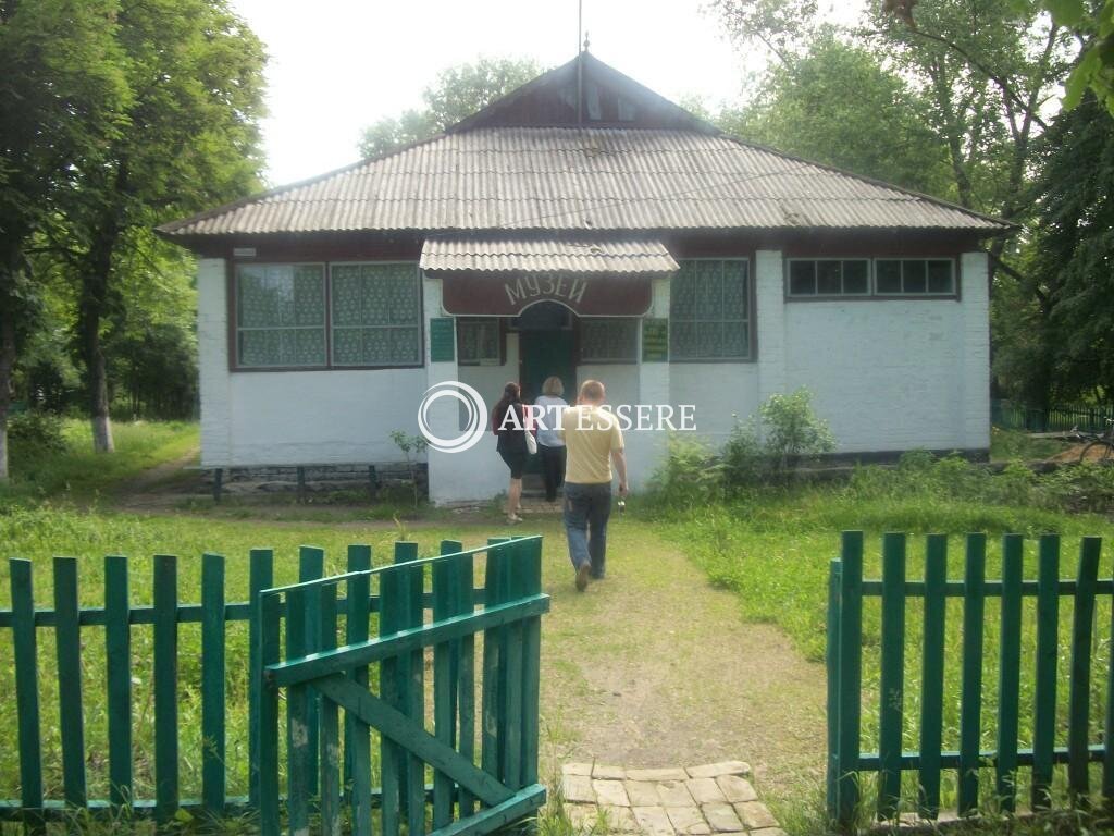 Bobrinetsky District Museum of History