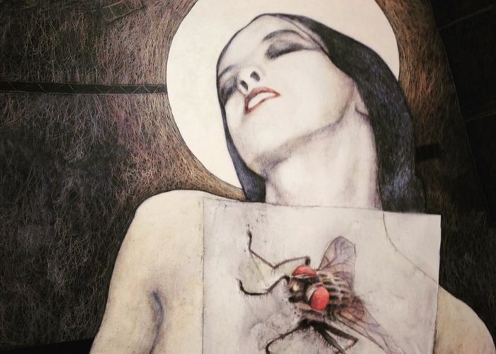 Gustus Butik & Gallery