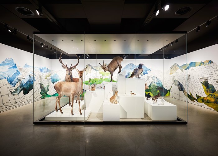 Naturhistorisches Museum Basel