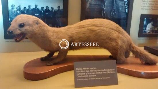 Museo de Historia Natural de Concepcion