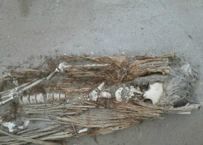 Museo De Sitio Colon 10