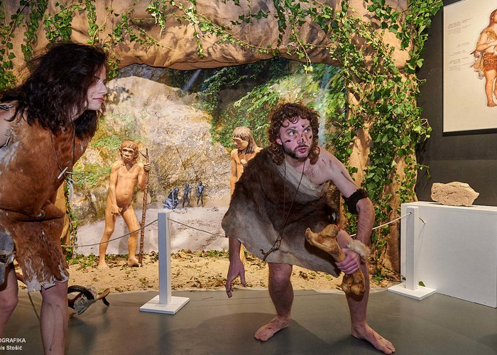 Krapina Neanderthal Museum