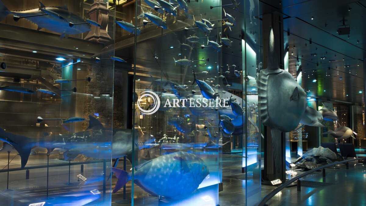 Grand Gallery of Evolution