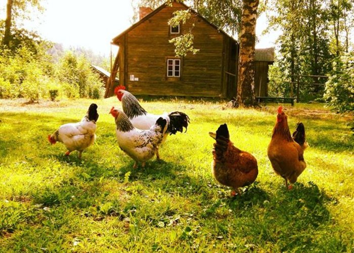 Open Air Museum in Vaasa