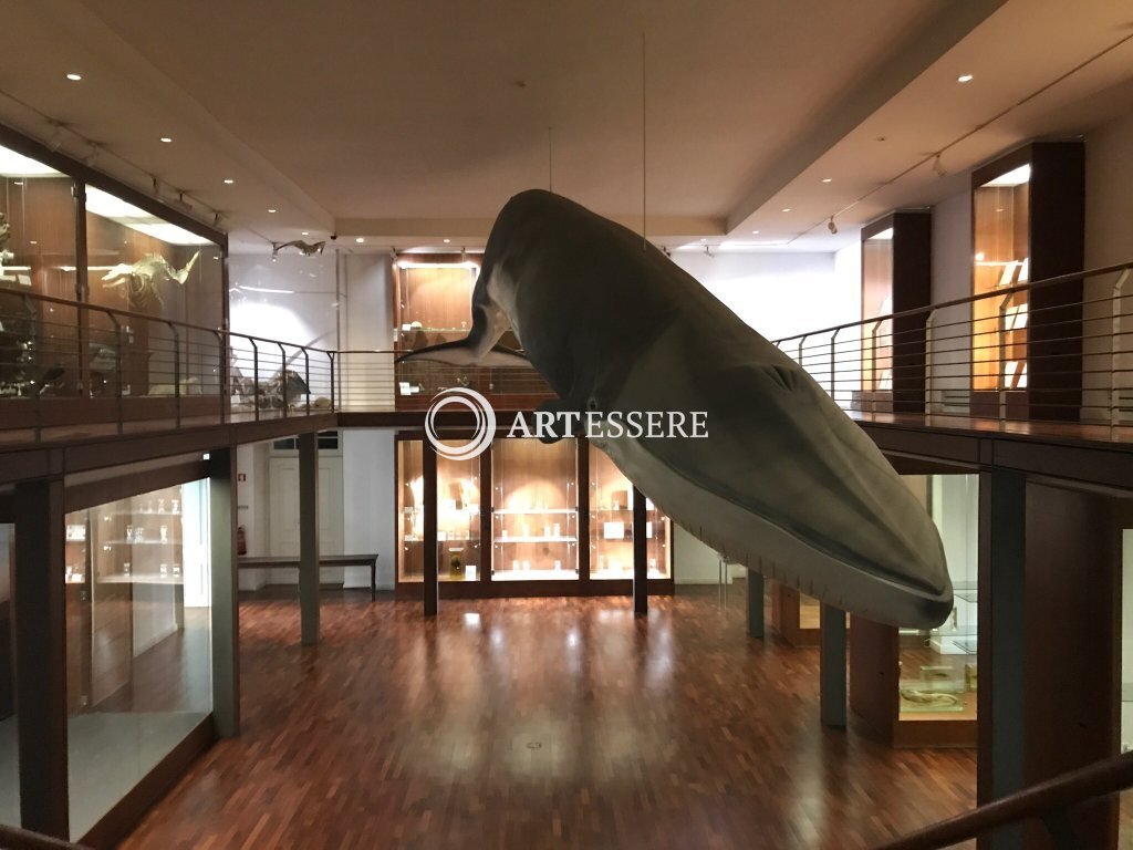 National Museum of Natural History and Science