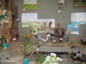 The Museum of Izobilnensky District History