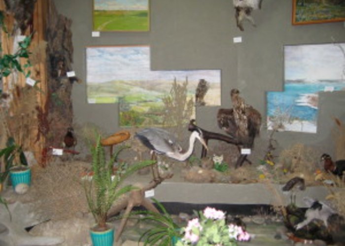 The Museum of Izobilnensky District History