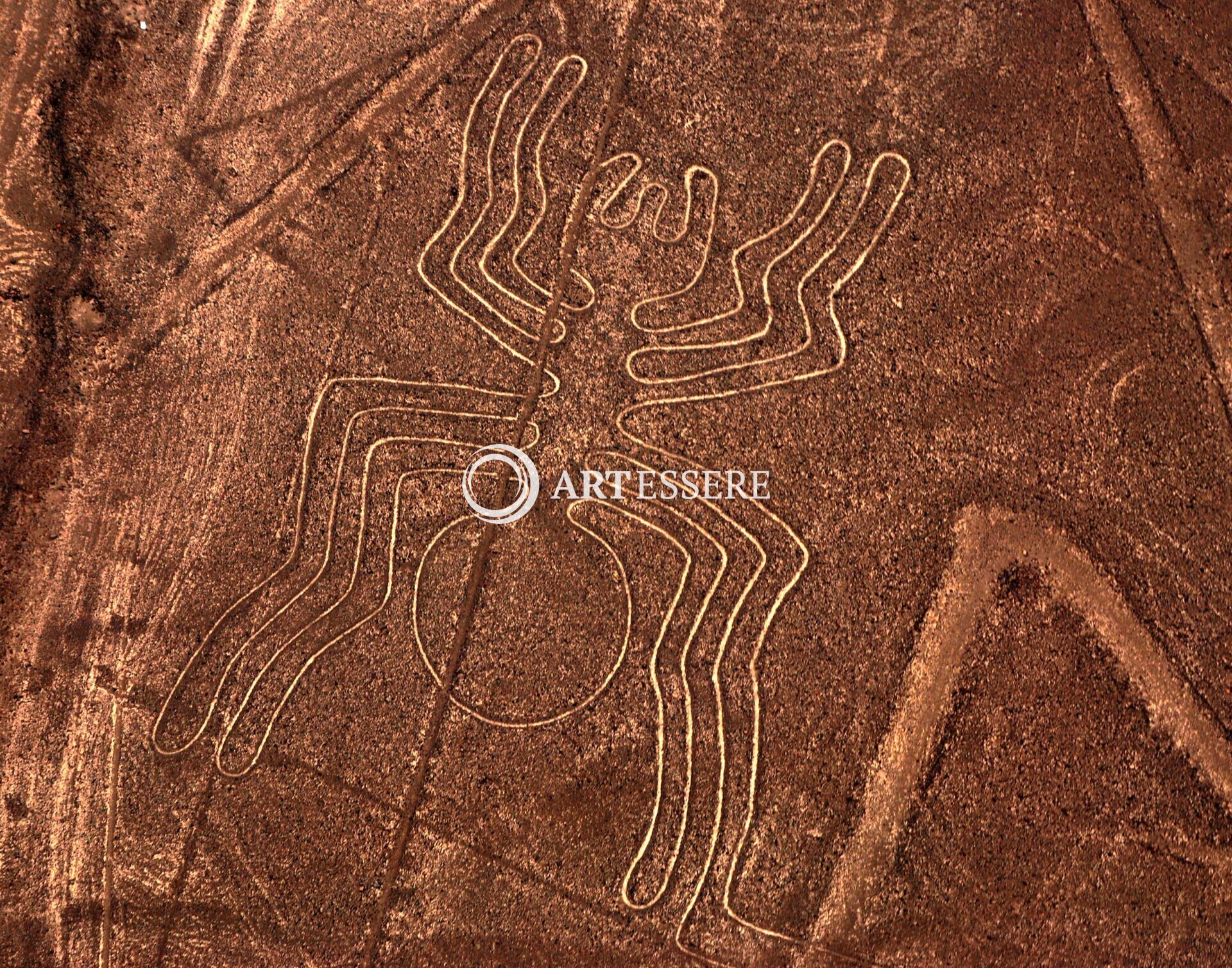 Nasca Lines Museum Maria Reiche Center